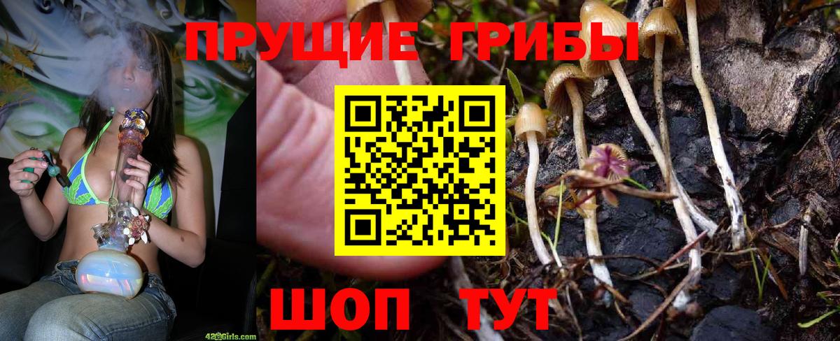 Псилоцибиновые грибы мицелий  Вход с VPN  Галлюциногенные грибы Psilocybe  Орск 