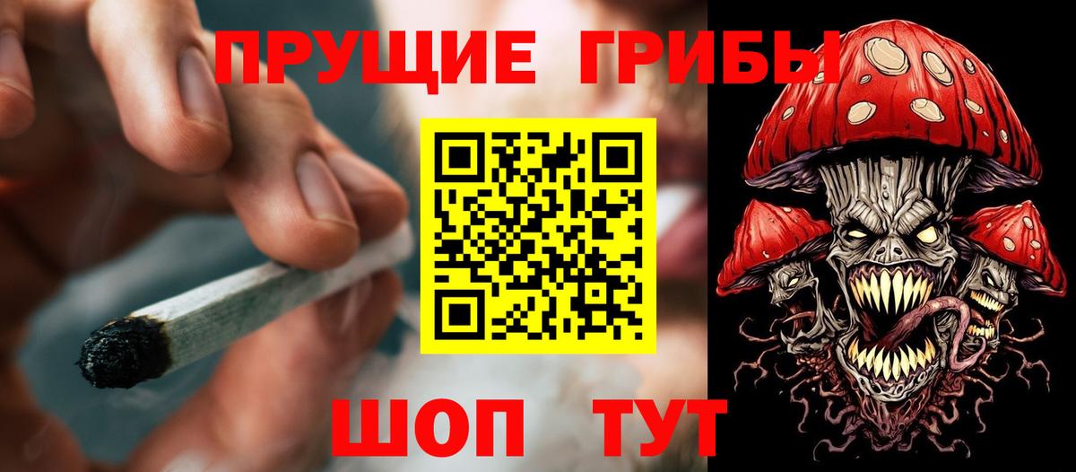 Галлюциногенные грибы Psilocybine cubensis Орск